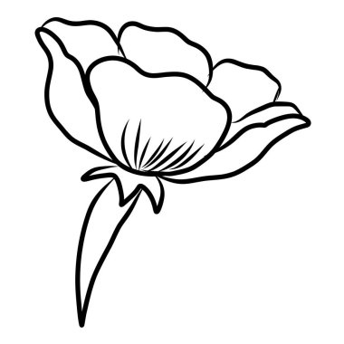 Beyaz kiraz çiçeği dalı. Vektör illüstrasyonu Sakura Çiçeği, Güzel Şeftali çiçeği izole vektörü. Japon çiçeği. Güzel bir arka plan için elementler..