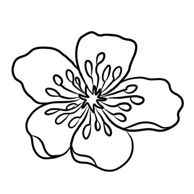 Beyaz kiraz çiçeği dalı. Vektör illüstrasyonu Sakura Çiçeği, Güzel Şeftali çiçeği izole vektörü. Japon çiçeği. Güzel bir arka plan için elementler..