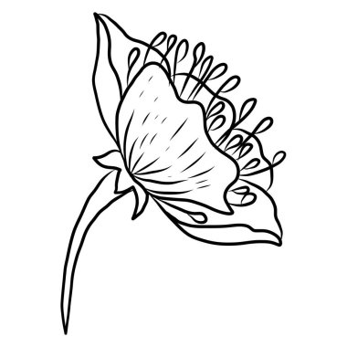 Beyaz kiraz çiçeği dalı. Vektör illüstrasyonu Sakura Çiçeği, Güzel Şeftali çiçeği izole vektörü. Japon çiçeği. Güzel bir arka plan için elementler..