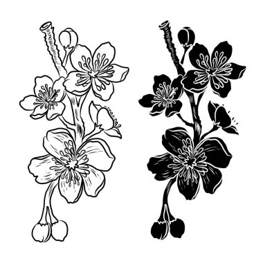 Şeftali çiçeği ve kiraz çiçeği seti. Sakura vektör seti. İzole ve altın çiçek. Serbest el Sakura çiçek vektörü seti..