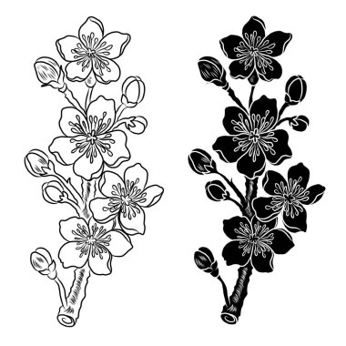 Şeftali çiçeği ve kiraz çiçeği seti. Sakura vektör seti. İzole ve altın çiçek. Serbest el Sakura çiçek vektörü seti..