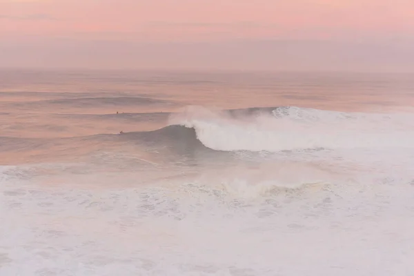 Surfers in the pink ocean at dawn in Nazare