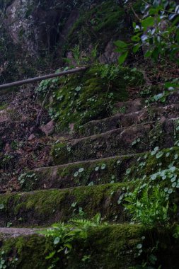 Ancient stone staircase covered with moss with metal railings in the mountains