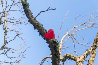 Red heart on tree branches against the clear sky clipart