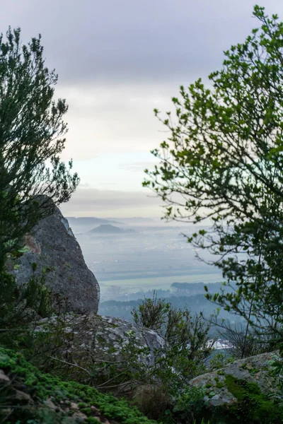 Kayaların Ağaçların Arkasından Tepelere Ormanlara Şafak Öncesi Sislerdeki Tarlalara Bakın — Stok fotoğraf
