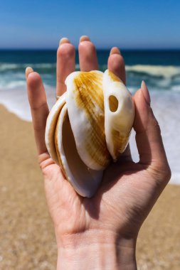 Uzun çıplak tırnakları ve yakın planda kumdan yapılmış bir yüzüğü olan bir kadın elinde büyük kabuklar.