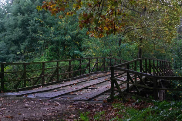 Puente Madera Sobre Río Fondo Del Parque Otoño — Foto de Stock