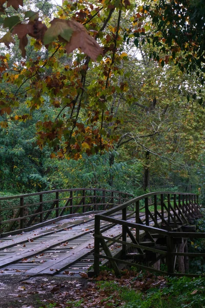 Drewniany Most Przez Rzekę Tle Jesiennego Parku — Zdjęcie stockowe