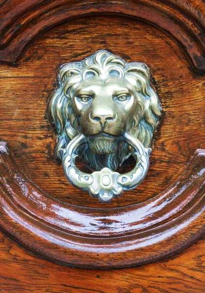 stock image Antique metal lion head doorknocker on a wooden door close up