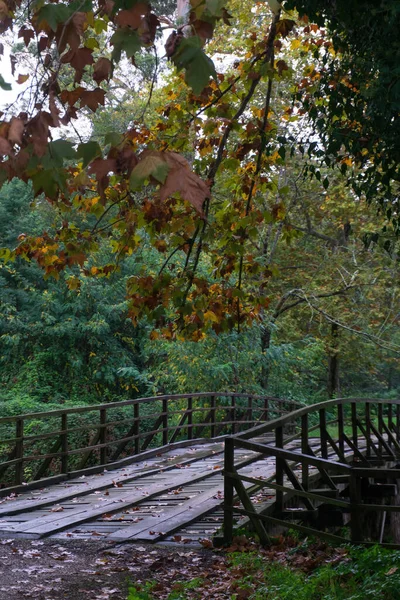 Holzbrücke Über Den Fluss Herbstlichen Park — Stockfoto