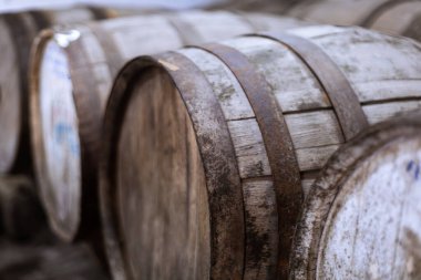 Şaraphanede fıçılar dolusu şarap.