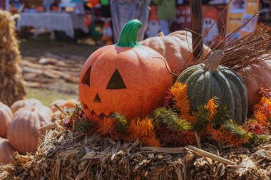 Atmospheric photo of Halloween pumpkin with straw background in natural light clipart