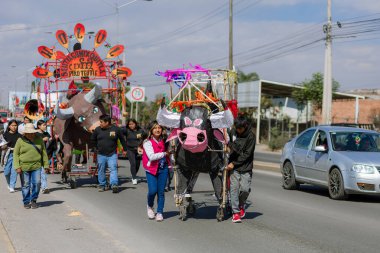 Puebla, Meksika; 12 Ocak 2025: San Cristobal Tepontla Anıtsal Boğa Geçidi, Erkekler Dev Boğa figürlü Renkli Boğa İtme Yürüyüşü