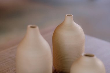 Çağdaş Meksika işçiliğinin detaylarını ve canlı renklerini gösteren kil seramik parçalar bir masada sergilenir..