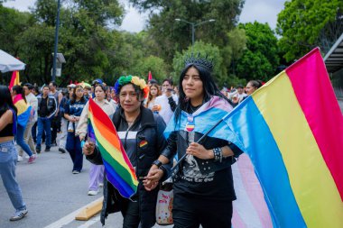 Puebla, Meksika 21 Haziran 2025. Katılımcılar LGBT + Gurur Yürüyüşü için bir araya gelerek, çeşitliliği, görünürlüğü ve kamuoyu ifadesini kutlayan bayrak, tabela ve kostümleri sergilediler.. 
