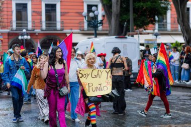 Puebla, Meksika 21 Haziran 2025. Katılımcılar LGBT + Gurur Yürüyüşü için bir araya gelerek, çeşitliliği, görünürlüğü ve kamuoyu ifadesini kutlayan bayrak, tabela ve kostümleri sergilediler.. 