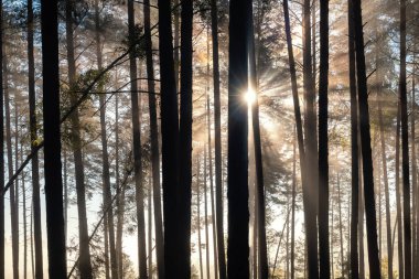 Söz ver bana. Söz ver bana. Söz ver.