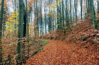 İsa ve Lesie Bukw na Warmii