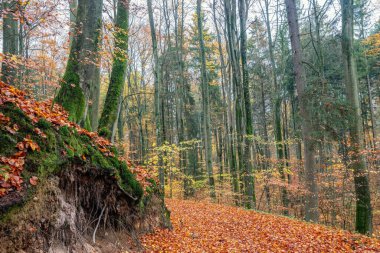 İsa ve Lesie Bukw na Warmii