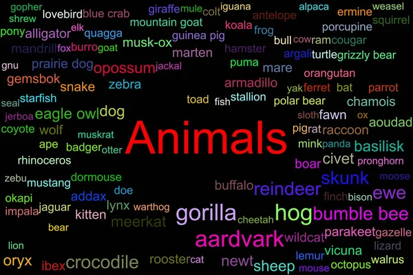 各种有黑色背景的动物的彩色标签 中间是红色的大动物字 — 图库照片