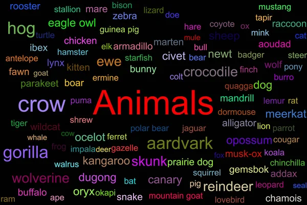 各种有黑色背景的动物的彩色标签 中间是红色的大动物字 — 图库照片
