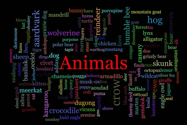 一些动物的名字与随机分配的颜色聚集在一起 红色的大标题 在中间 背景是黑色的 — 图库照片