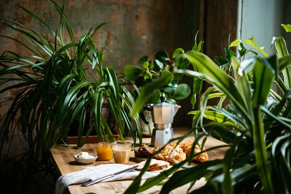 Πρωινό Κρουασάν Και Καφέ Σερβίρεται Ένα Όμορφο Τραπέζι Γεμάτο Φυτά — Φωτογραφία Αρχείου