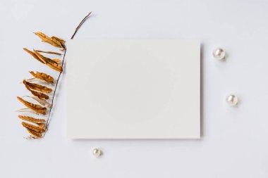 Tasarım, resim baskısı veya sunum için temiz boş kağıt modelleme şablonu