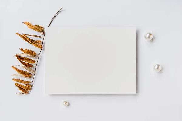 Schoon Blanco Papier Modelsjabloon Voor Ontwerp Kunstafdrukken Presentatie — Stockfoto