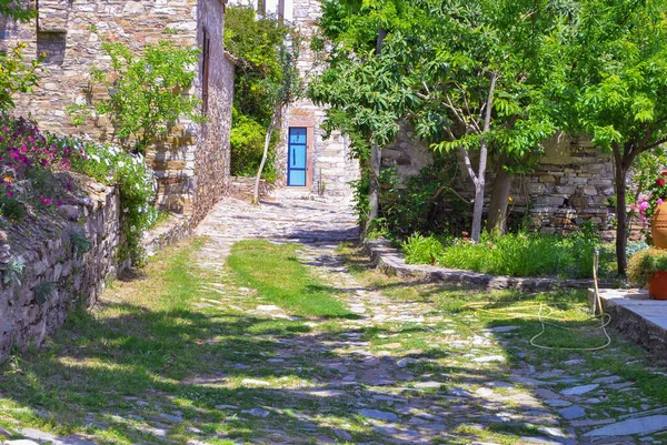 村里漂亮的老房子 蓝色的门 绿草路 — 图库照片