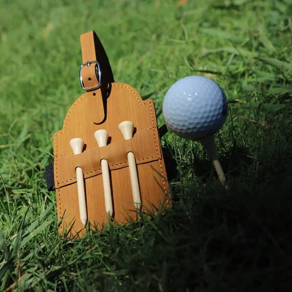 Colorful leather Golf Tee Holder. Concept shot, top view, different color. Golf tee. Golf ball.