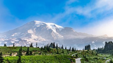 Rainiers Dağı 'nın karla kaplı zirvesi, buzulları ve yemyeşil ormanlarla çevrili yemyeşil dağlık çayırlarını gösteren panoramik bir manzara. Açık bir yaz gününde yakalanan bu manzara doğa, seyahat ve macera projeleri için idealdir..