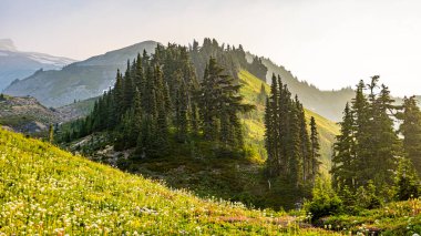 Göz kamaştırıcı bir dağ zirvesi, dağınık bulutlarla dolu canlı mavi gökyüzünün altında, yemyeşil ormanların üzerinde yükseliyor. Bu manzaralı manzara doğanın güzelliğini yakalar ve seyahat, macera, yürüyüş ve fotoğrafçılık veya tasarım alanlarında açık hava temaları için idealdir..