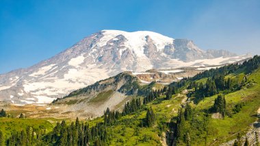 Rainiers Dağı 'nın karla kaplı zirvesi, buzulları ve yemyeşil ormanlarla çevrili yemyeşil dağlık çayırlarını gösteren panoramik bir manzara. Açık bir yaz gününde yakalanan bu manzara doğa, seyahat ve macera projeleri için idealdir..