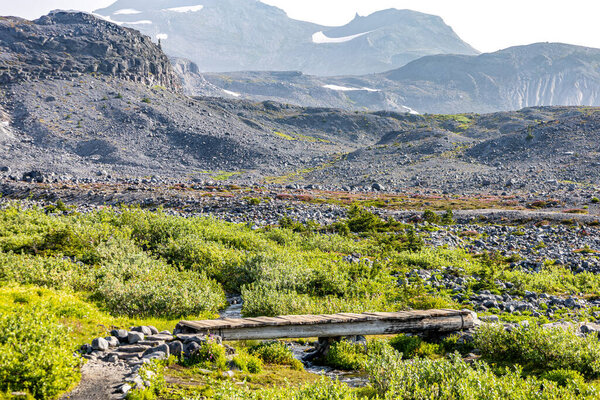 A scenic wilderness photo of a rustic wooden footbridge spanning a clear mountain stream in a rocky alpine meadow, with lush green shrubs,rugged terrain,and snow-patched mountain slopes in the background. Ideal for outdoor, travel, and hiking themes.