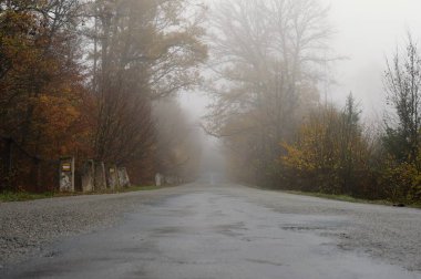 Sonbaharda yol. Kış mevsiminde sisli ve tehlikeli bir araba sürüyor. Kötü hava, yağmur ve yoldaki trafik. Trafik ve yol güvenliği kavramı.