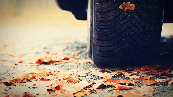 秋にはぬれた道路上の葉や車でタイヤ フォギーと危険な運転 交通と道路の安全のための概念 — ストック写真