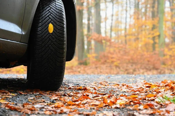 Tires with leaves and car on wet road in autumn season. Foggy and dangerous driving - concept for traffic and road safety.