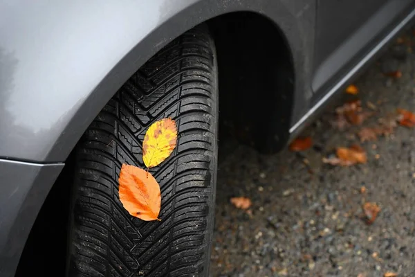Tires with leaves and car on wet road in autumn season. Foggy and dangerous driving - concept for traffic and road safety.