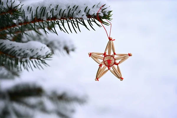 크리스마스 휴가철 휴가철을 아름다운 장식이다 장식된 크리스마스 — 스톡 사진