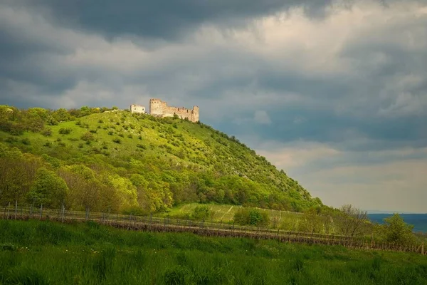 Moravia Meridionale Palava Regione Vinicola Della Repubblica Ceca Rovine Vecchio — Foto Stock