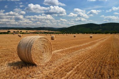 Samanlıklarıyla güzel bir yaz manzarası - saman balyaları. Doğa, hasat zamanı ve yaz sonu kavramı.