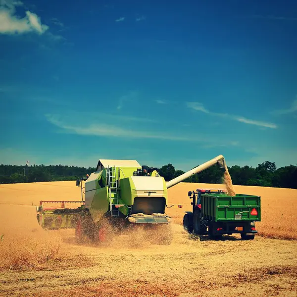 Tracteur Moissonneuse Batteuse Dans Champ Pendant Récolte Des Grains Fin — Photo