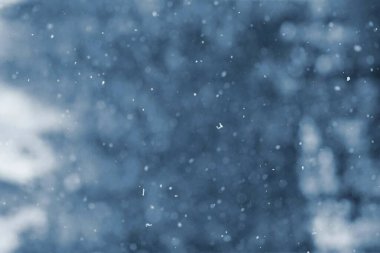 kar - arka planda bulanık ağaçlar.