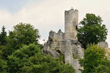 Ormandaki şehir şatosunun kalesi.