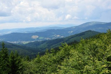 Ormandaki dağların manzarası