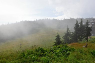 Dağların güzel manzarası
