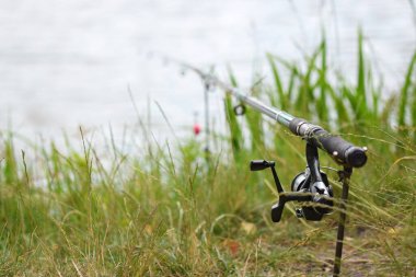 Gölde olta kamışı