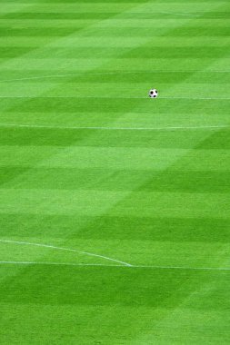 Beyaz çizgileri olan futbol sahası