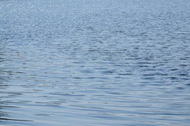 Dalgalı gölün su yüzeyi